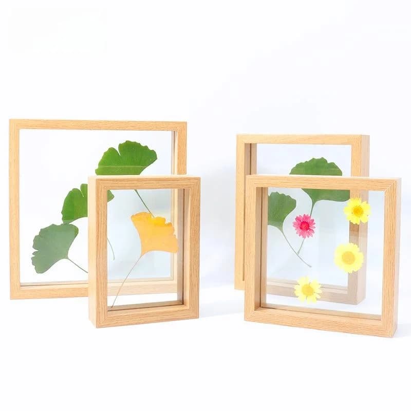 Creative Frame A4 for Secchi and Specimen Flowers, Glass Frame for Home Decoration and Table
