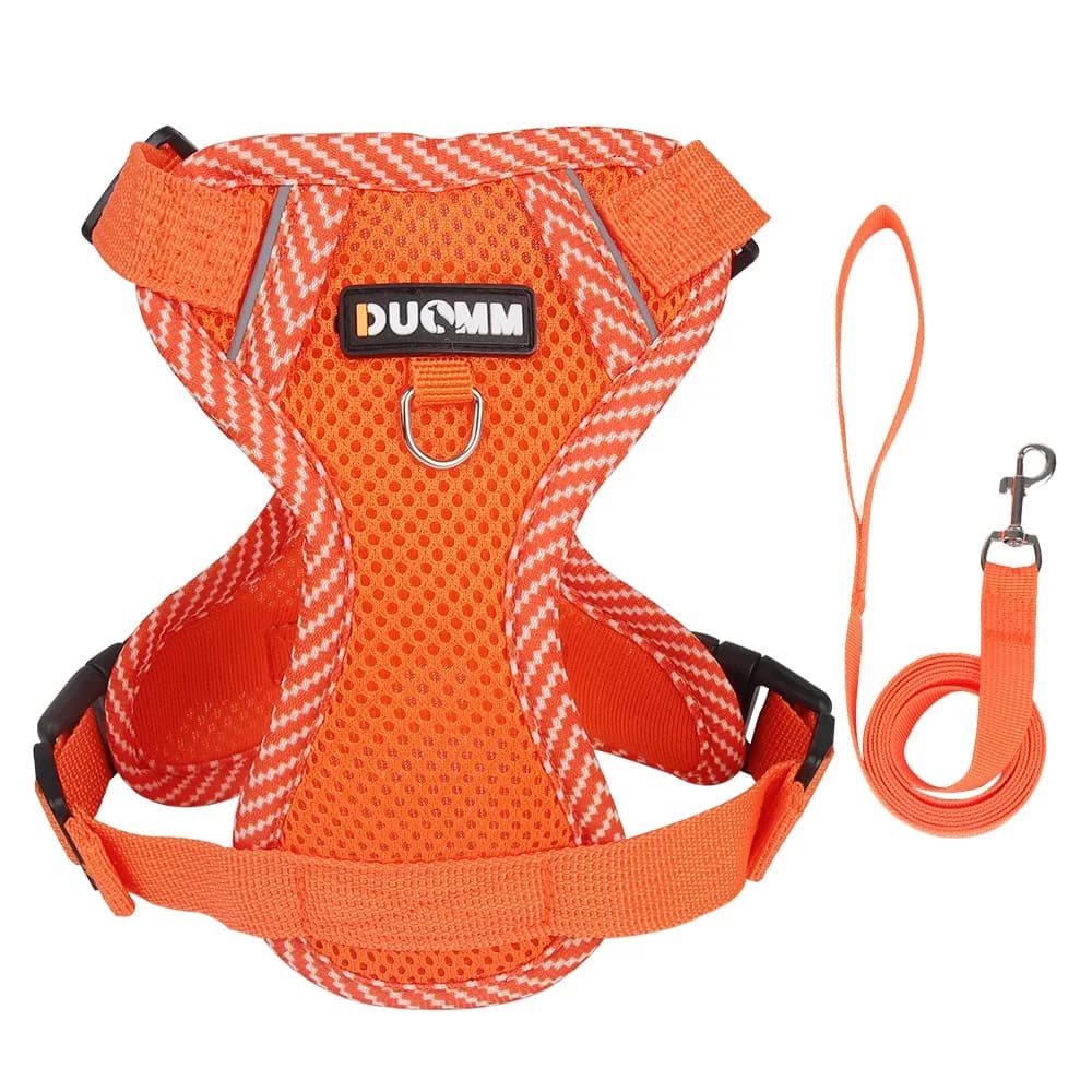 Set Pettorina Regolabile per Cani Anti-Fuga con Guinzaglio, Gilet da Passeggio per Animali Domestici, Collare e Guinzaglio Riflettente Multicolore