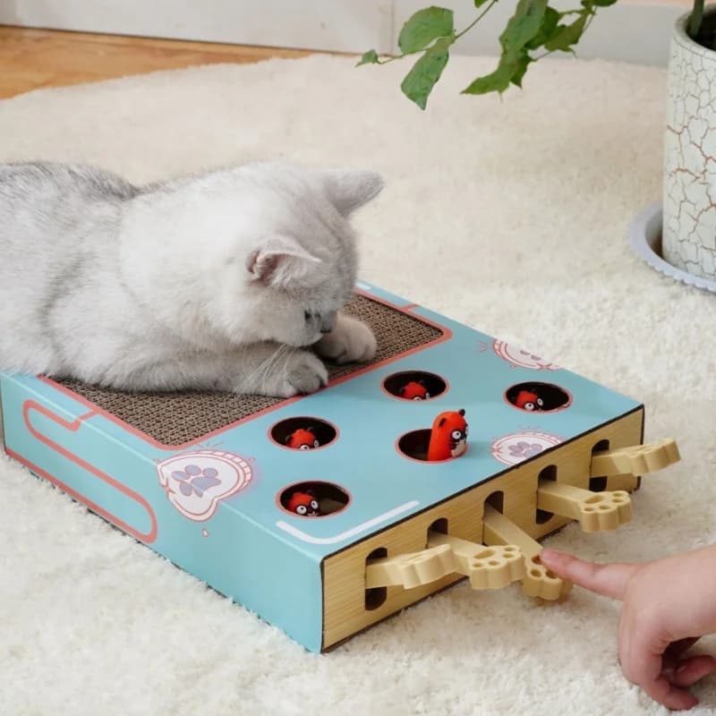 Gioco Interattivo Labirinto per Gatti 3 in 1: Scatola Giocattolo Cattura Topolini, Bastone Tiragraffi e Puzzle Educativo per Gatti