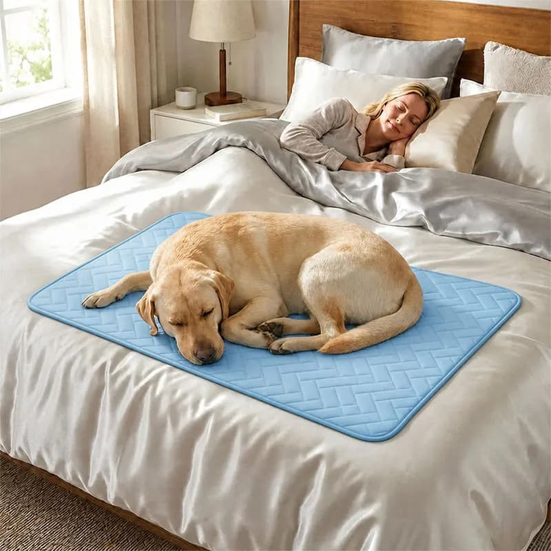 Summer Cooling Mat For Pet Training Pad Cat Breathable Comfortable Pet Bed Washable Cat Ice Feeling Pad For Small Big Dogs Cats