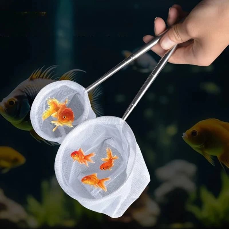 Rete per Acquario con Manico Quadrato/Rotondo in Acciaio Inossidabile, Rete da Pesca per Catturare Pesci Ornamentali e Gamberetti, Accessori per la Pulizia dell'Acquario