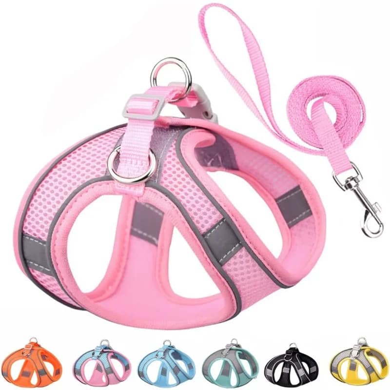 Set Pettorina e Guinzaglio per Cani Riflettente Traspirante Regolabile per Cani Piccoli e Medi per Passeggiate all'Aperto con Guinzaglio da 1,5m