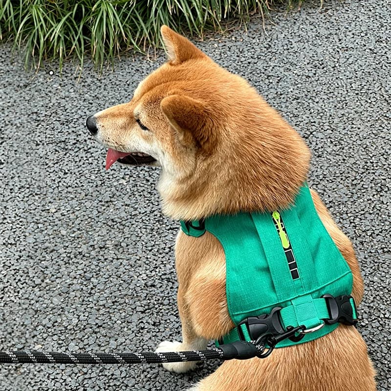 Hot Selling Reflective Dog Harness Set Lightweight Vest Style Chest Strap for Small Medium Dogs New Arrival Walking Lead