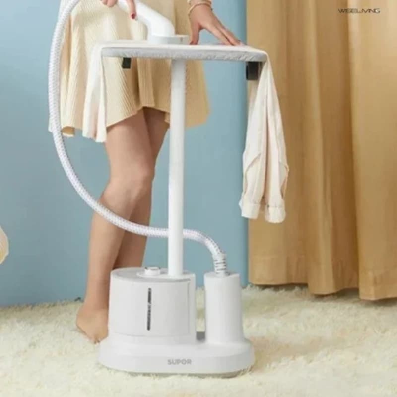 Garment steamer. Household. Steam ironing machine. Iron Small single iron. Vertical iron.