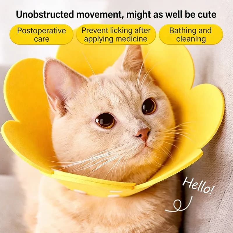 Recovery Cone Pet Protective Neck Collar Anti Bite Anti Lick For Dog Cat Surgery Wound Healing Medical Protection Health Supplie