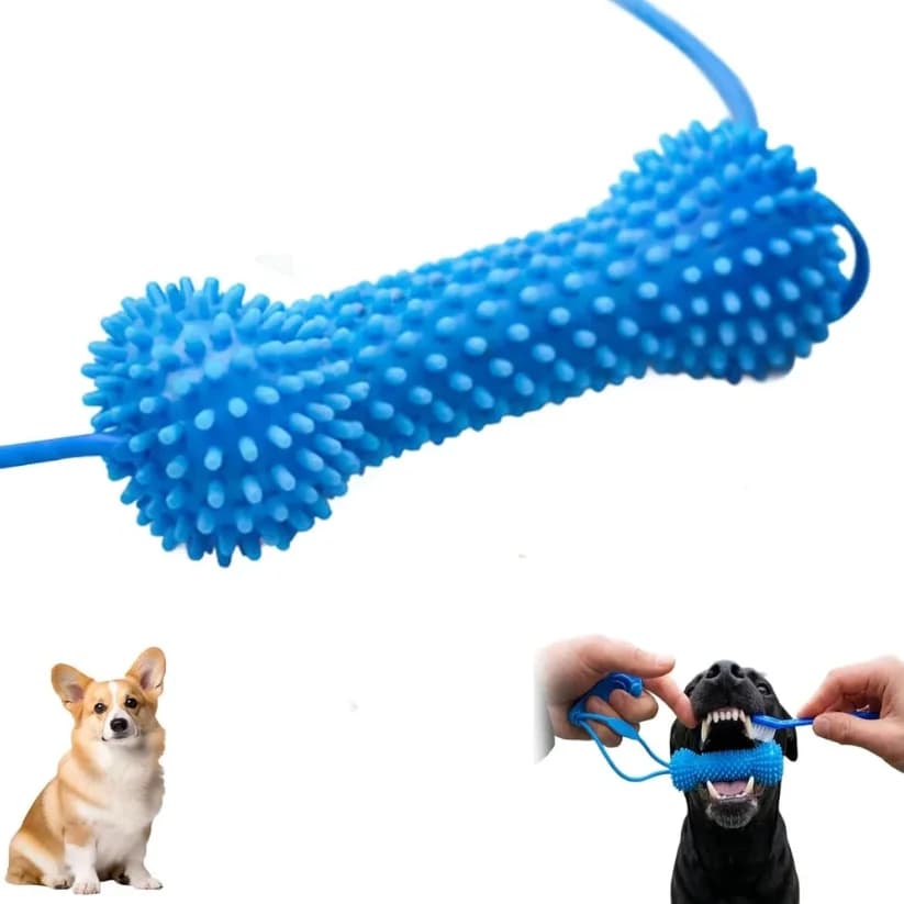 Dual Function Pet Dental Chew Stick Durable Dog Teeth Cleaning Toy Simplify Daily Brushing Reduce Plaque Freshen Breath