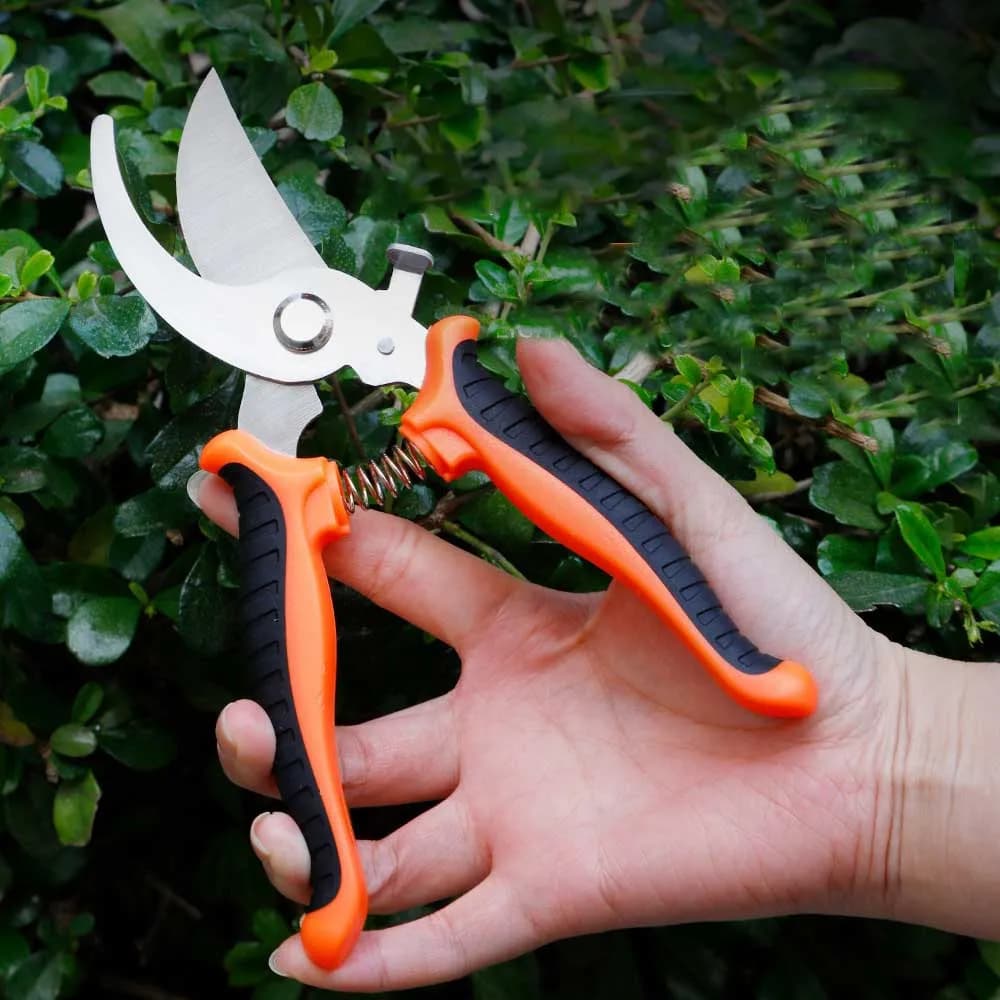 Professional Stainless Steel Scissors for Gardening, Potting Coppers, Fruit Trees, Flowers, Domestic Power Tools