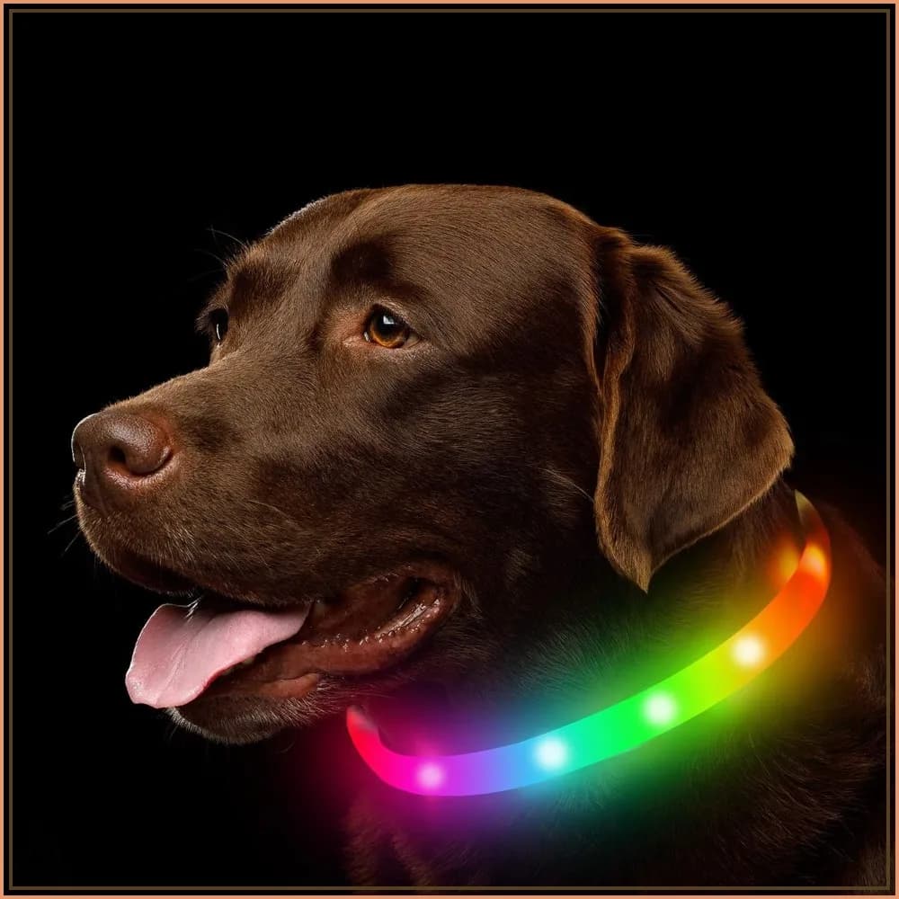 Rechargeable RGB LED Dog Collar, Waterproof Light Up Pet Safety for Night Walking, Camping, Outdoor, Small Medium Large Dogs