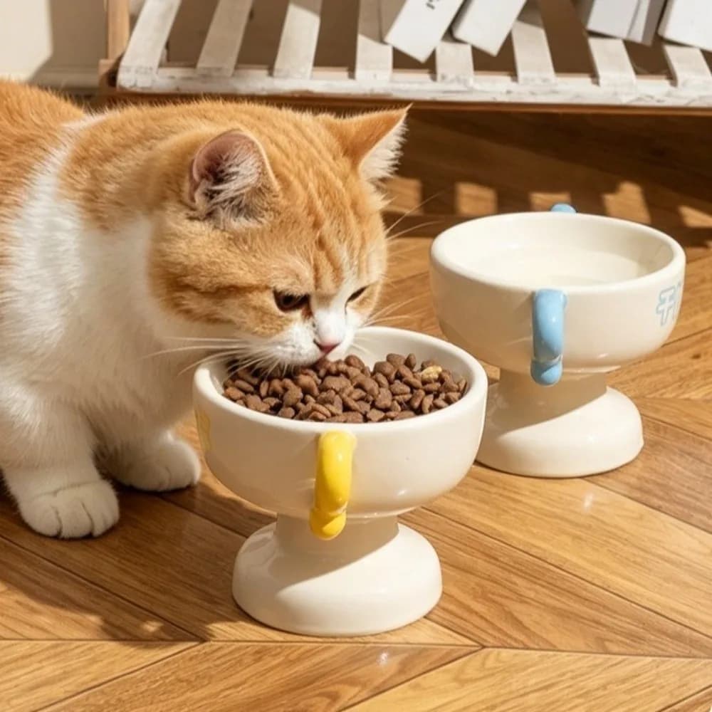 Universal Elevated Cat Food Water Bowl Non-Slip Base Large Capacity Pet Food Basin High Feet Stable Cat Feeder Dish Puppy Cats