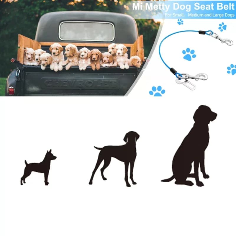 Guinzaglio universale di sicurezza per cani da auto, cintura di sicurezza anti-morso in filo metallico per animali domestici, collare e pettorina da viaggio per cani