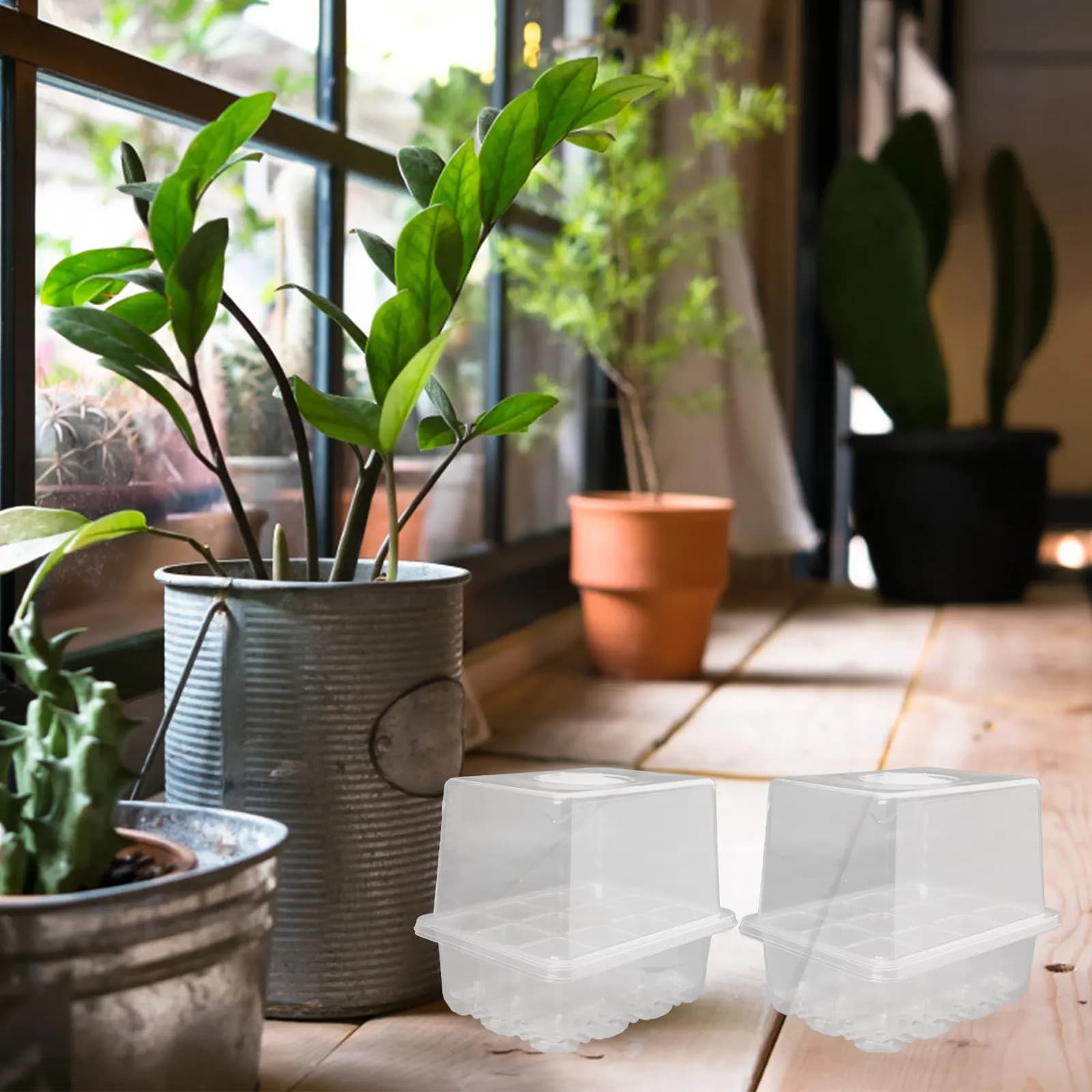 Set di 3 Contenitori Professionali per Germinazione di Semi, Piante Succulente, Fiori e Verdure, Vasi da Vivaio e Vassoi per Serra