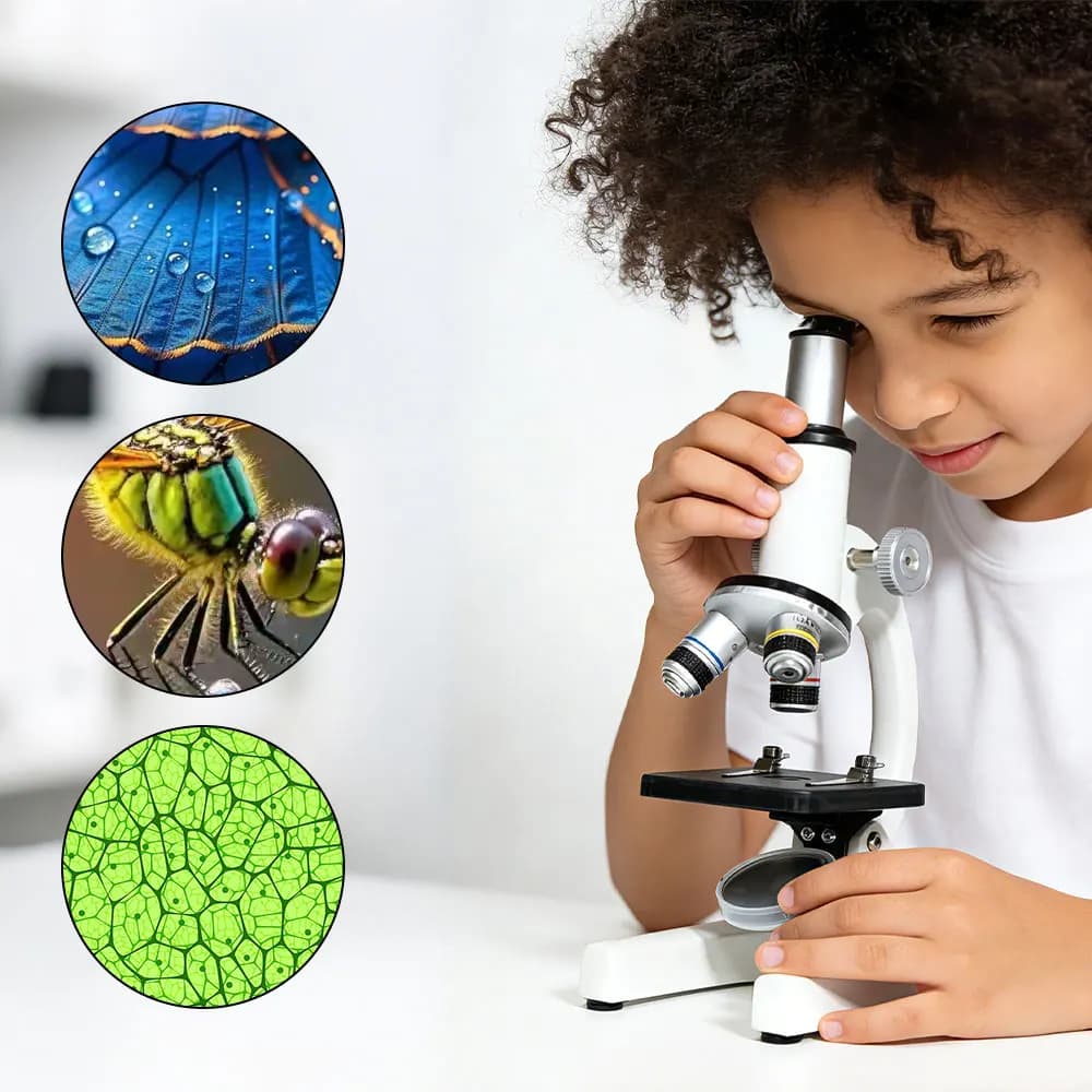 Microscopio Biologico con Ingrandimento 64X-2400X e Sistema di Illuminazione LED - Microscopio Composto con Adattatore per Telefono per Uso Educativo