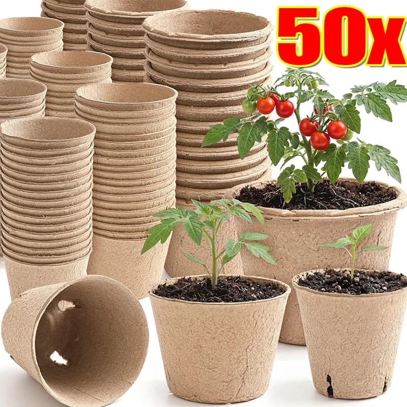 Biodegradable Vases in Vegetal Polpa, Containers for Breathable Semina, Round and Square, for Domestic Growing and Gardening