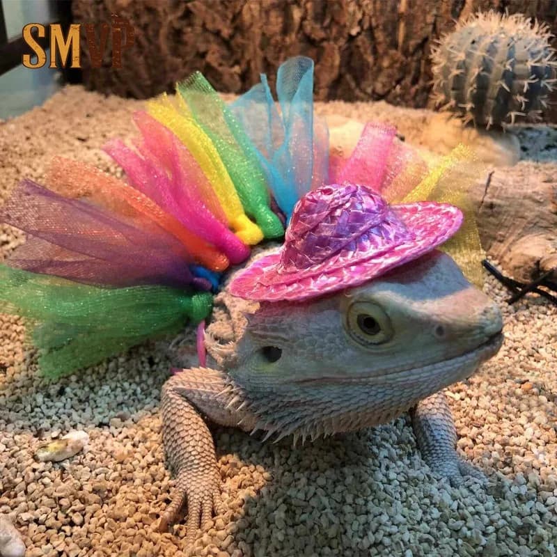 Set di Abbigliamento per Animali Domestici Mini Crawling: Cappello Rosa e Gonna in Rete Arcobaleno, Accessorio per Foto di Animali Piccoli