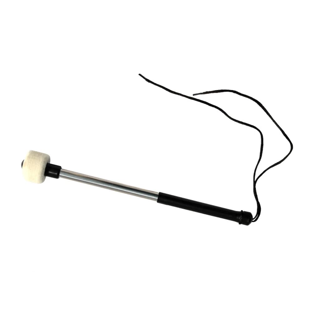 Tamburo Doppio Pedale Pad Accessori Junior Percussioni Repique Kick Strumenti Musicali Major Snare Tamburi da 14 pollici