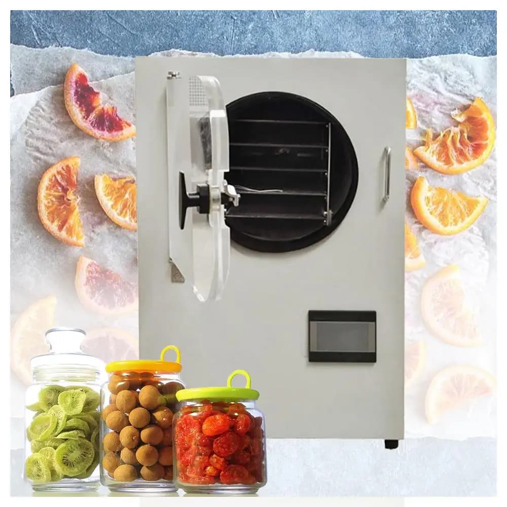 Asciugatrice per congelatore intelligente Asciugatrice per congelatore sottovuoto per alimenti Frutta secca Attrezzatura per liofilizzazione Mini liofilizzatore domestico in vendita