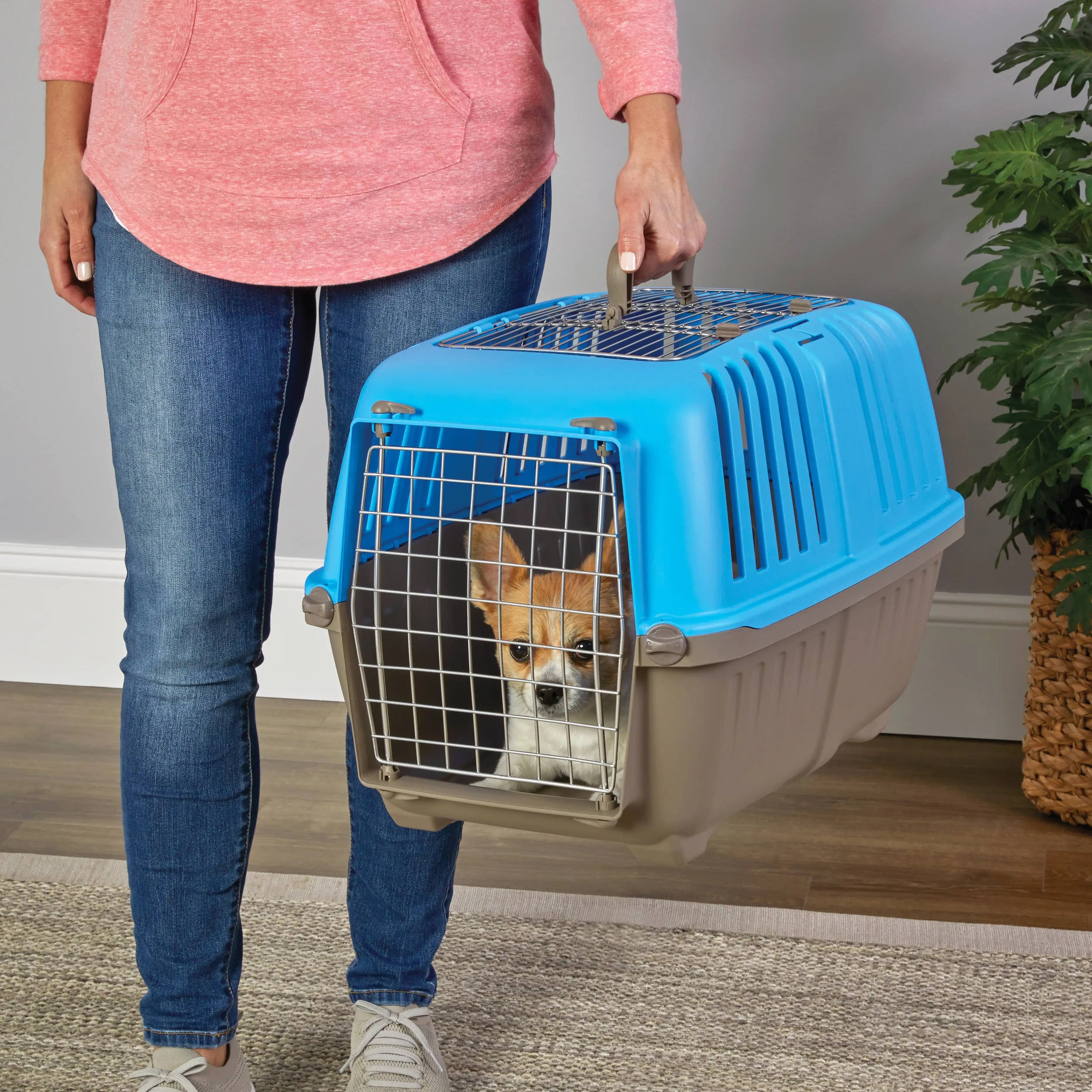 24 inch Two Door (Front and Top) Door Spree Travel Pet Carrier for Doga and Cats with Steel Door, Blue