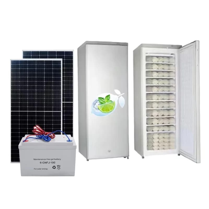 Macchina per il ghiaccio solare 198L DC/AC 24v 11 strati Macchina per il ghiaccio commerciale Congelatore 70kg/24h Pannello solare Cella gel