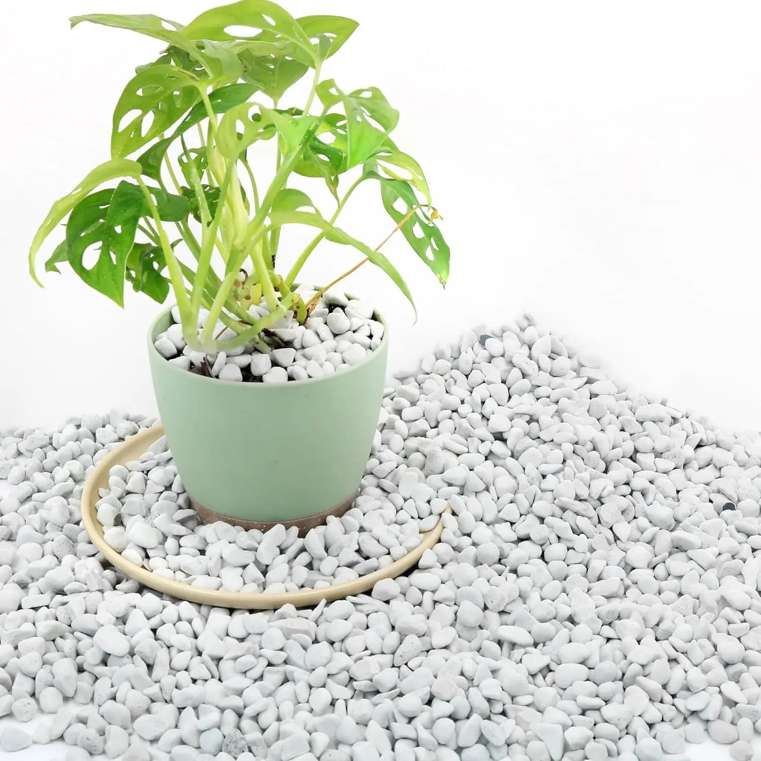 3 Quarts Chunky Perlite for Plant Soil Amendment for Potting Soil, Improves Drainage and Aeration for Soil, Ideal for Succulents