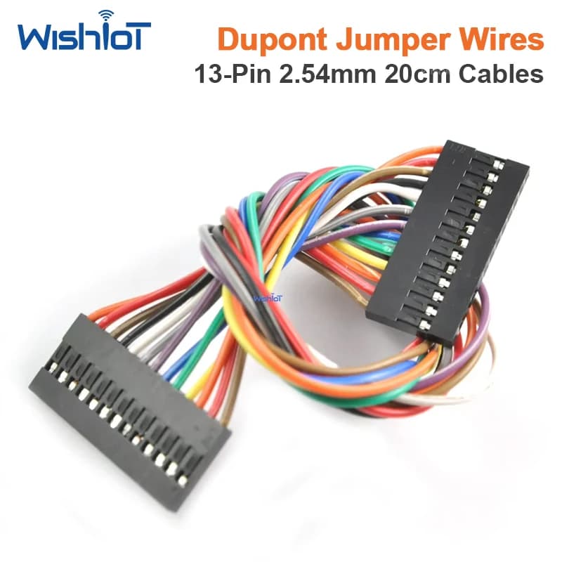 Cavi Jumper Dupont a 13 Pin, Passo 2.54mm, Lunghezza 20cm per Arduino/Raspberry Pi