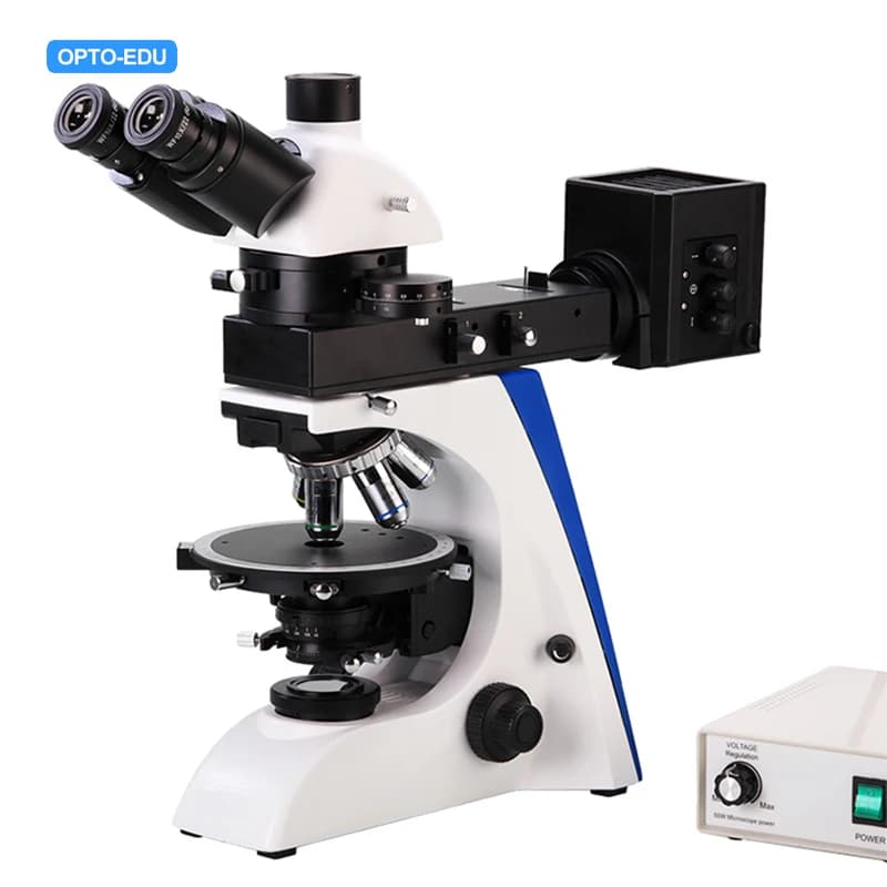 OPTO-EDU A15.2601-RTT Ingrandimento trinoculare 40X~500X Luce di trasmissione 6V20W Lampada alogena Microscopio polarizzante
