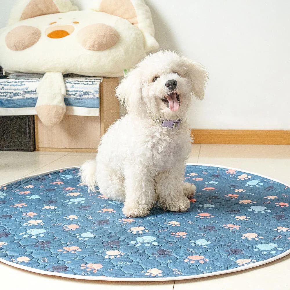 Cerchio invernale Nuovo tappetino antiscivolo per animali domestici Tappetino per pipì per cani impermeabile Tappetino per gatti traspirante Tappetino per pannolini per animali domestici lavabile Tappetino per animali domestici altamente assorbente