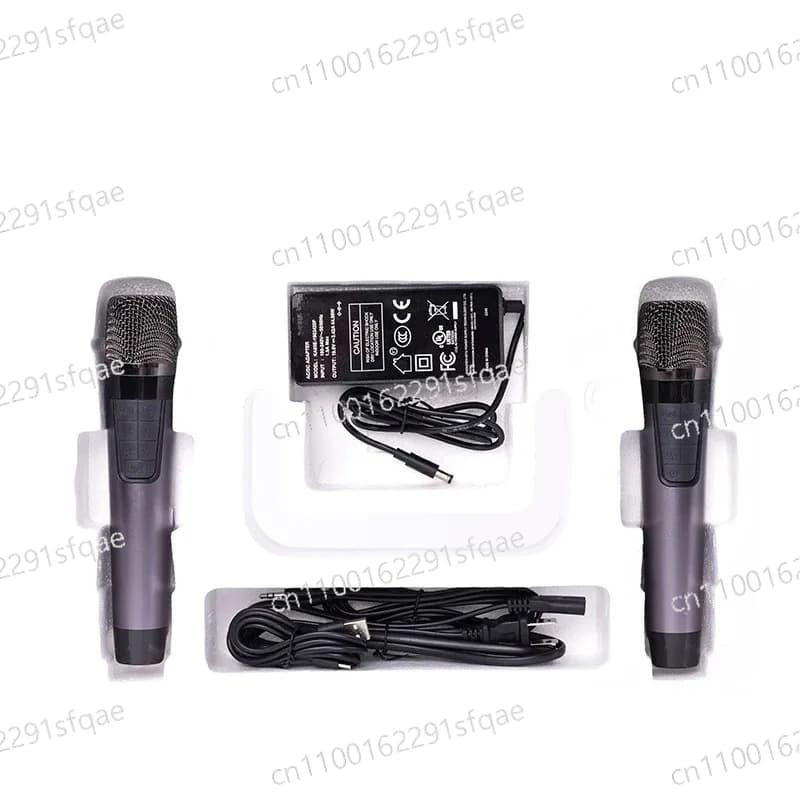 Altoparlante Bluetooth Hifi Portatile con 2 Microfoni Wireless per Karaoke all'Aperto, Vendita Calda