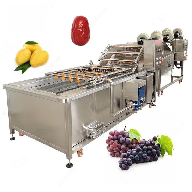 Lavatrice e Asciugatrice Industriale Commerciale per Verdure, Uva, Uvetta e Frutta Secca con Sistema di Lavaggio a Bolle