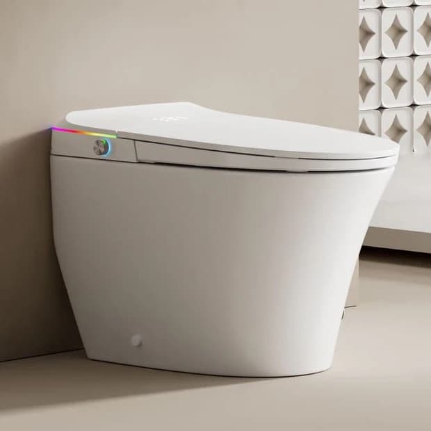 Special Offer: Smart Toilet Ceramic 110V with Bidet Automatic, ETL CUPC Certificate, for Hotel