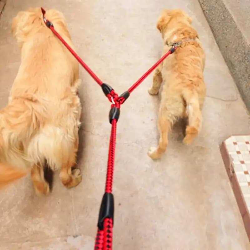 Guinzaglio per cani in Nylon intrecciato da 1.4M corda a doppio guinzaglio guinzaglio per animali domestici resistente guinzagli da corsa per accoppiatori corda di trazione di sicurezza per animali domestici