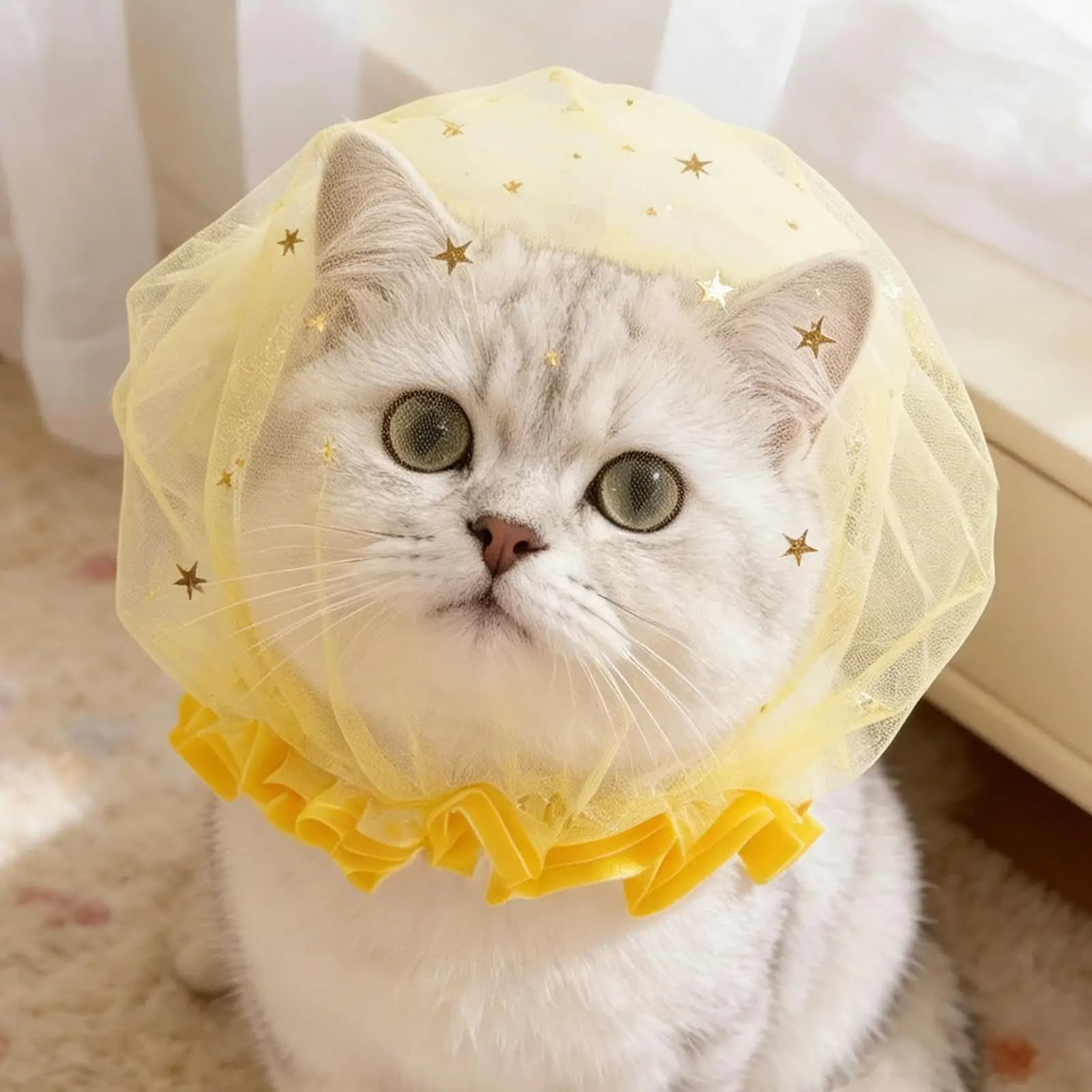 1 Pezzo Copricapo in Rete per Cani Anti-Ingozzamento, Traspirante, Portatile, per Passeggiate all'Aperto, Fasce per Muso, Accessori per Animali Domestici