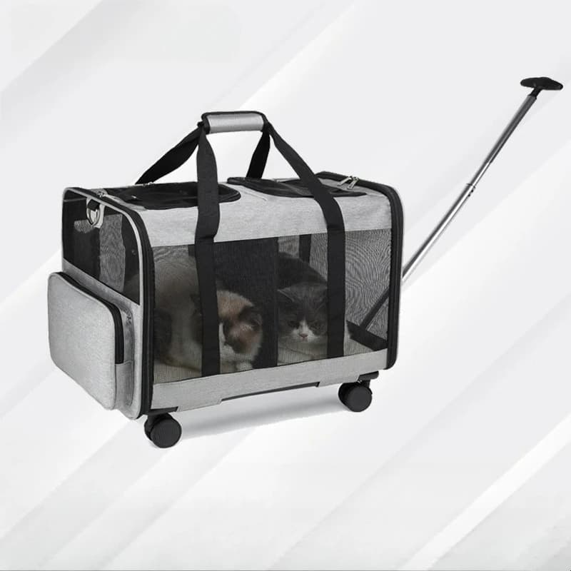 Borsa per gatti con carrello a doppio scomparto Comodo marsupio per animali domestici per gite Zaino per cani e gatti con ruote a spalla singola