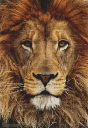 Kit da cucito leone animale 18CT 16CT 14CT Kit punto croce non stampato Ricamo artistico Ricamo fatto a mano fai da te Decorazioni per la casa