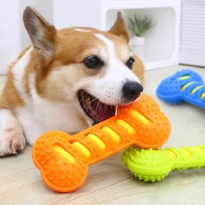 Dog Chew Bone Toy Squeaky Teeth Grinding Training Puppy Toy Safety Chew-resistant Playing Dog Toy Supplies