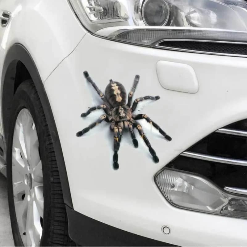 Divertenti Adesivi 3D per Auto con Rane Colorate, Ragni e Piume, Decalcomanie in Vinile per Coprire Graffi, Accessori per Auto e Moto