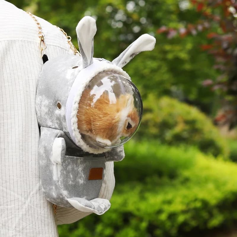 1 set of backpack for hamsters for pets, easy to carry hand bag, convenient pet bag for small pets for piglets of India, perfect to take your pet