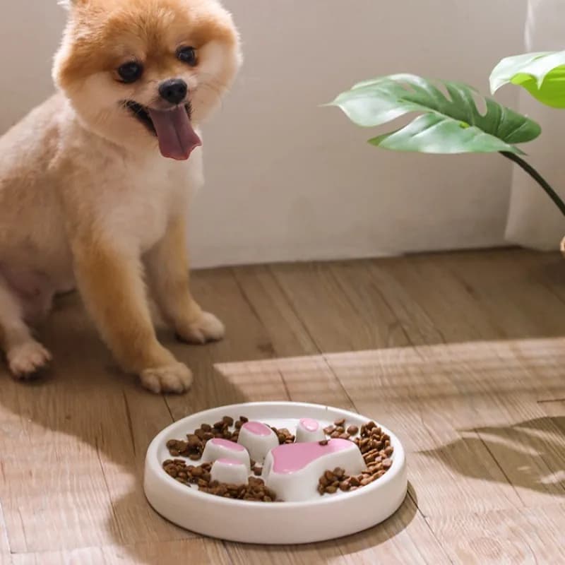 Pet Slow Feeder for Dogs ciotole per bere in ceramica mangiatoie per gatti Home Kitten Puppy Food Container ciotole per cani facili da pulire forniture per gatti