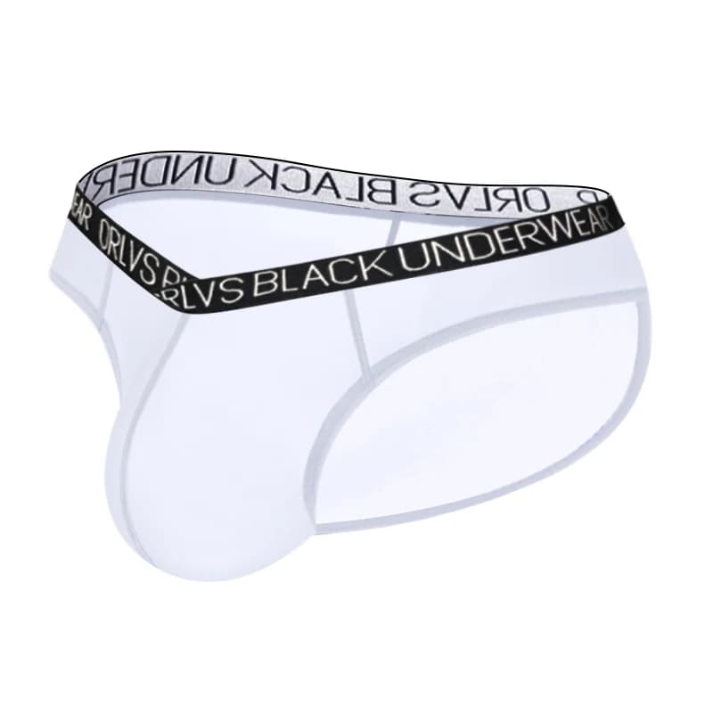 CMENIN Ultra-thin Sexy Men Underwear Briefs Breathable Mesh Men's Briefs Bikini Gays Underpants Male Low Waist Gays Man Panties