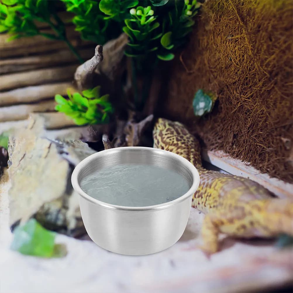 Ciotola per Cibo e Acqua in Acciaio Inox per Rettili, Contenitore Metallico Portatile per Alimentazione di Serpenti, Lucertole, Tartarughe e Piccoli Animali