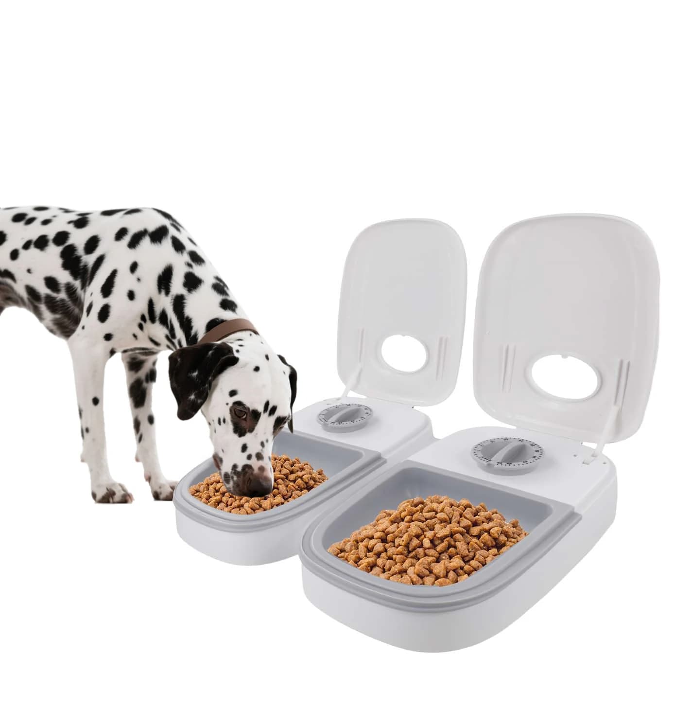48H Timer 700ml Pet Feeder,Dual Bowl Wet Dry Food Dispenser Easy Clean for Cats Dogs