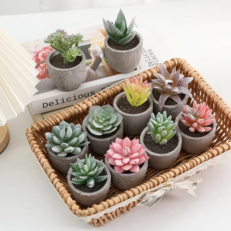 1PC Mini Artificial Plants Vivid Cactus Succulent Bonsai Plant with Vase Office Table Indoor Plants Floral House Decoration
