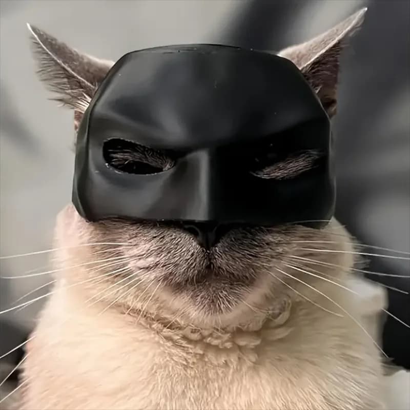 Regalo Black Bat Cat Avenger Mask Matte Cool Bat Mask Supereroe Simpatici giocattoli per animali domestici per gatti e cani