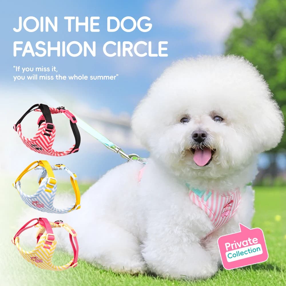 New Korean Style Dog Harness with Color Block Design - Breathable Lightweight Pet Vest for Bichon Small Dogs Walking