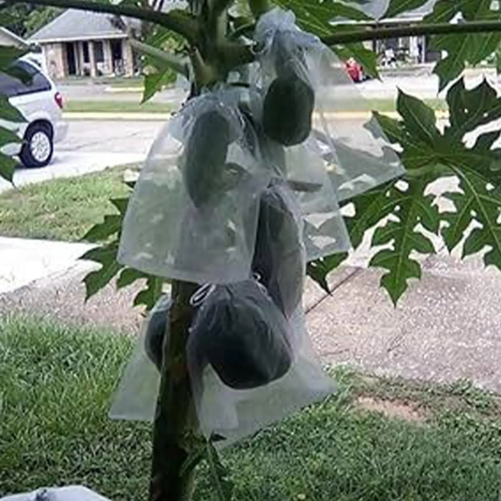 Fruit Net 100 Pieces Drawstring Breathable Reusable Fruit Trees Netting Bags For Grapes Tomato Strawberry Blueberry Vegetables
