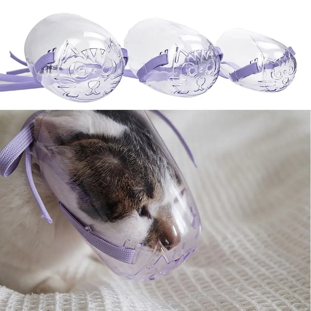 Toelettatura per gatti Previene il recupero anti-scorte per gatti Copri bocca per animali domestici Maschera anti-morso per gatti Museruola per gatti trasparente