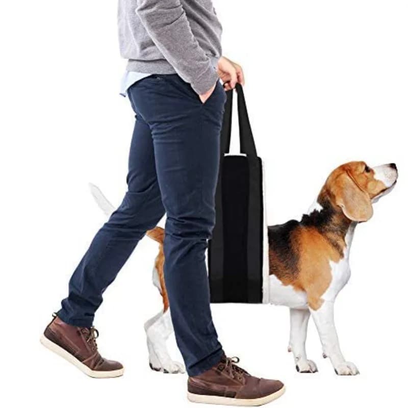 Cintura di sostegno per la pancia del cane Cintura per anziani assistita da passeggio Imbracatura toracica regolabile Imbracatura per recupero animali domestici Piombo da viaggio all'aperto