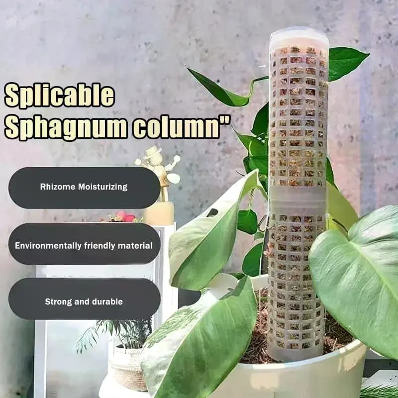6 Pezzi Pali di Muschio in Plastica per Piante Rampicanti da Interno, Tutori di Supporto per la Crescita delle Piante, Bastoncini di Muschio per Vasi, Supporti da Giardino