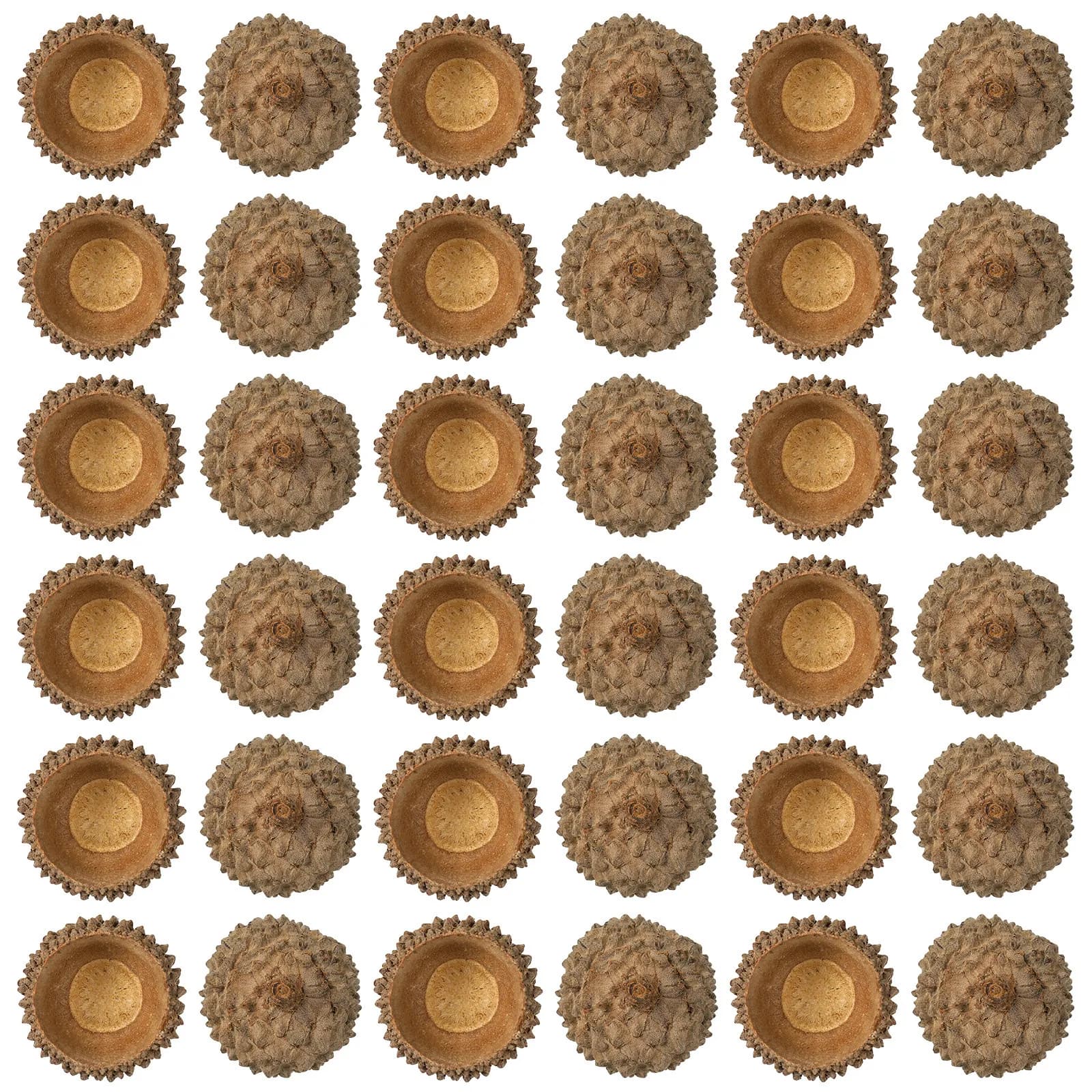 150Pcs Natural Dried Acorn Caps Small Rustic Cap Craft Supplies Autumn Home Decor Thanksgiving Table Scatter Artificial Fruit