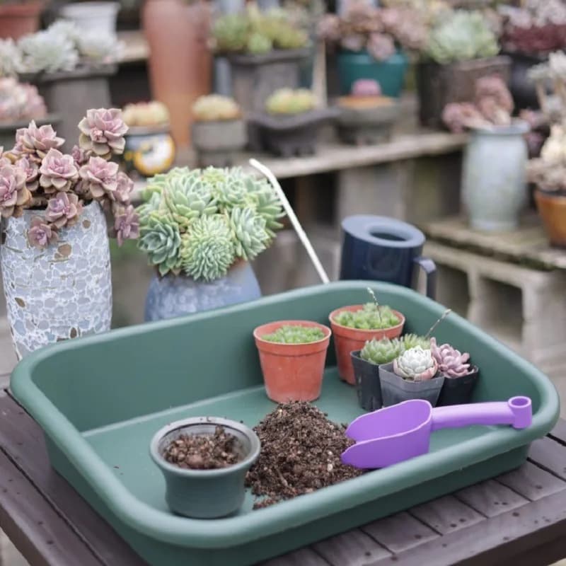 Multifunctional square plastic plant pot tray for gardening, saucer for capturing water, tray for succulent seedlings.