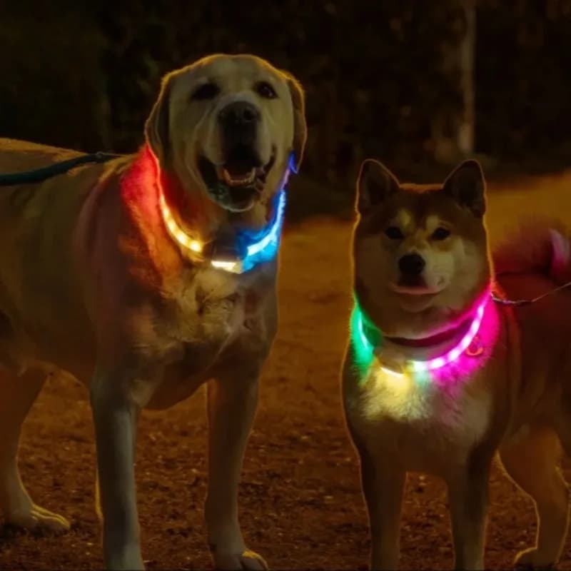 Universe Grocery Store Pet Light-Up Collar, Nighttime Safety Anti-Lost Pet Wrist Ring, LED Light Ring, Smart Collar